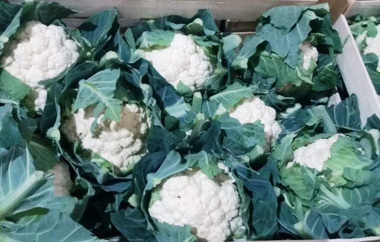 Kupię warzywa świeże, kalafiora, brokuł, zapraszam do współpracy producentów rolnych oraz grupy producenckie