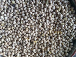 Waga: 1000 nasion = 480g; rozmiar nasion 8-12mm