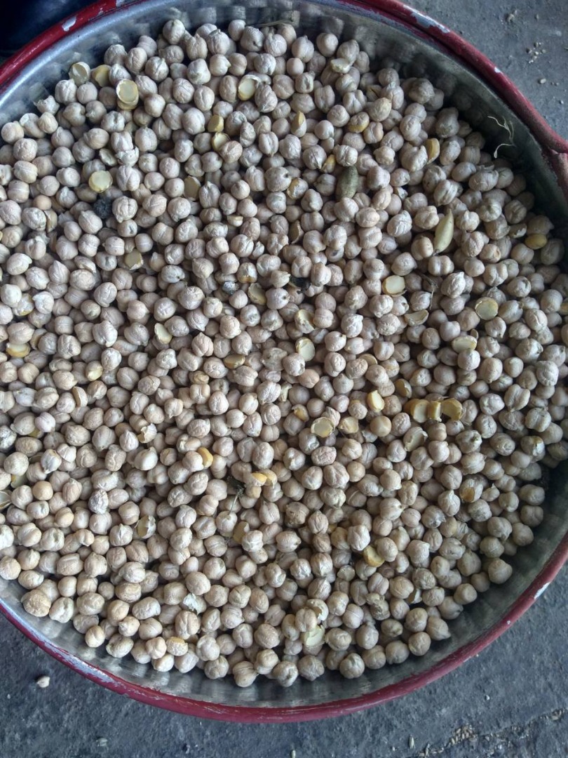 Waga: 1000 nasion = 480g; rozmiar nasion 8-12mm