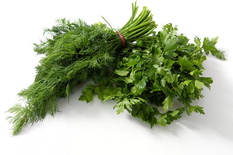 Sprzedaż koperku i pietruszki w dużych ilościach