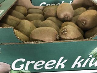 KIWI I GATUNKU Z GRECJI Sprzedamy kiwi odmiany Chehelidi,