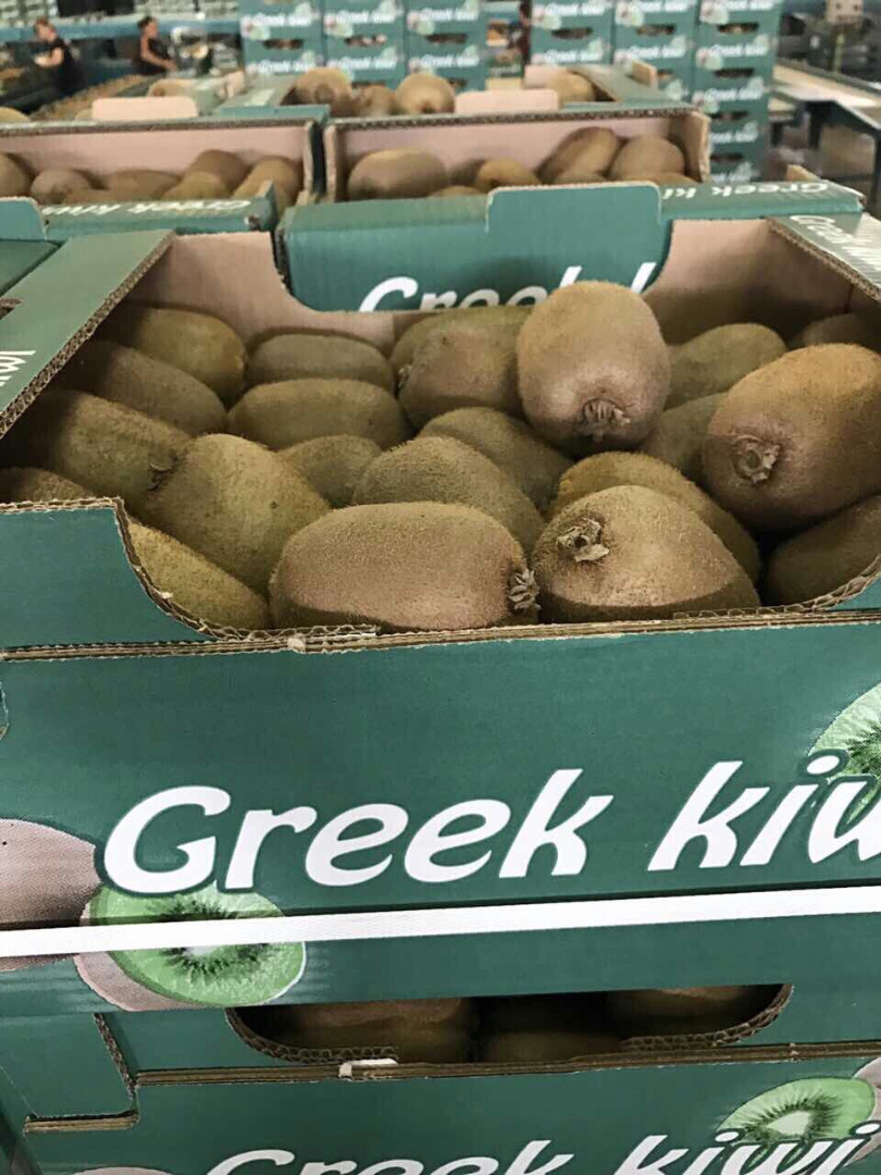 KIWI I GATUNKU Z GRECJI Sprzedamy kiwi odmiany Chehelidi, Hayward, Flet, kalibru 18 - 20 - 23 - 25 - 27 - 30 - 33 36 - 39