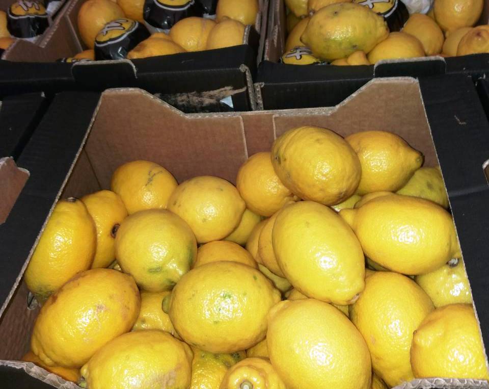 Sprzedam cytrynę, II klasa, import z Hiszpanii, wada skórki, miąższ wysokiej jakości