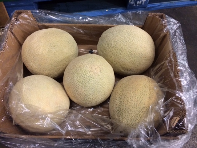 Sprzedam Melon - Caribbean gold - w kartonach 15 kg - rozm