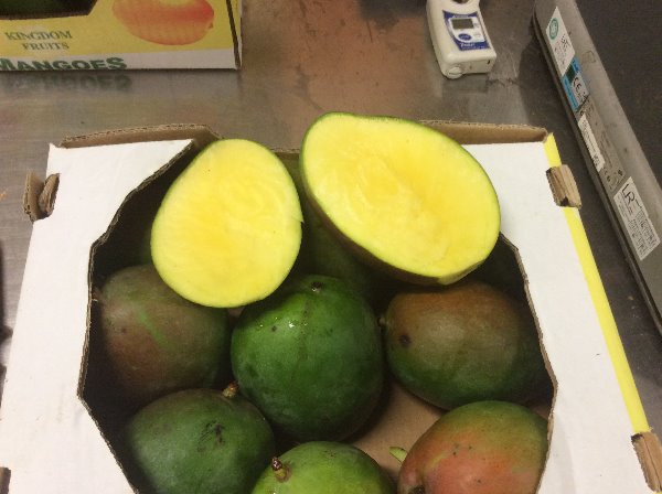 Sprzedam świeże mango, pochodzenie - kraje Afryki Zachodniej