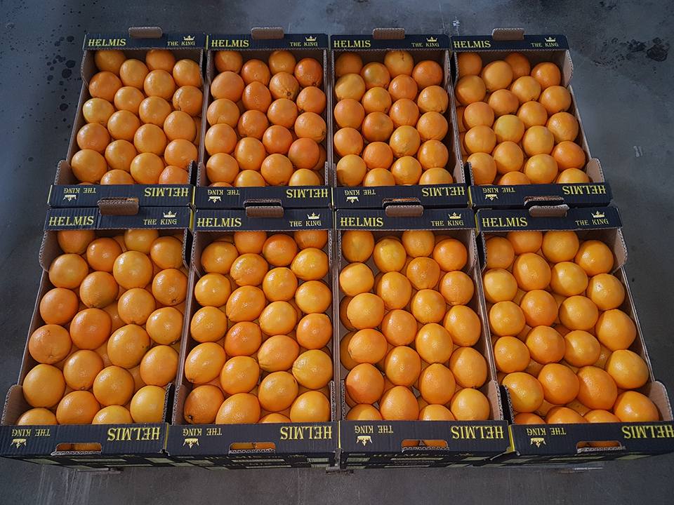 Dzień dobry, proponujemy cytrusy z Grecji bezpośrednio od producenta