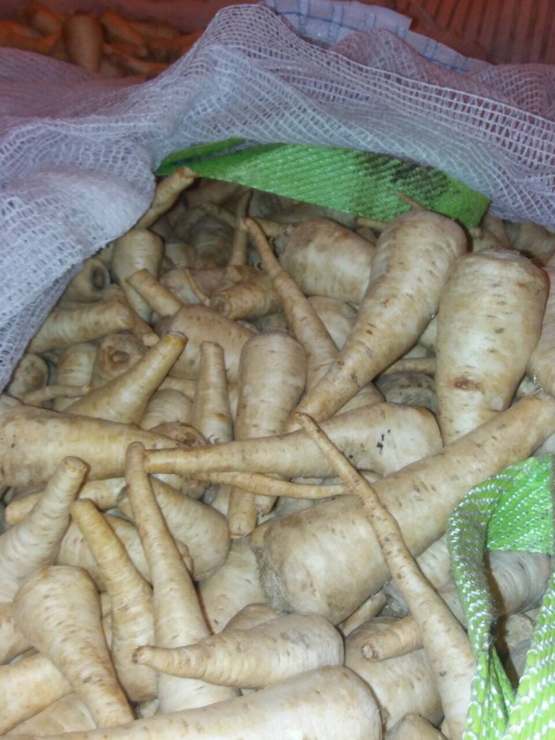 Sprzedam pietruszkę przemysłową, niekalibrowana, myta, opakowanie: big bag
