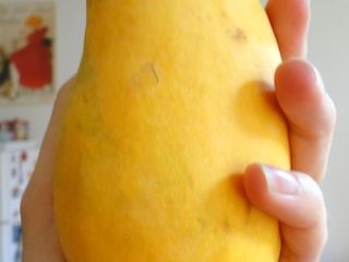 Mam dostep do najlepszych,najslodszych gatunkow mango prosto z Pakistanu