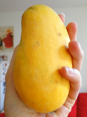 Mam dostep do najlepszych,najslodszych gatunkow mango prosto z Pakistanu