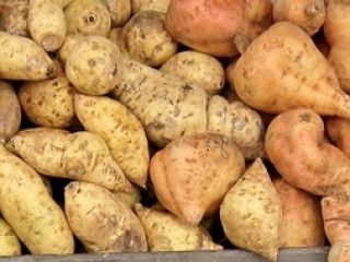 Sprzedam BATAT przemysłowy, pochodzenie: Hiszpania, rozmiar: 600 gr +,