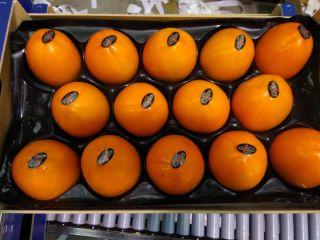 Sprzedam Kaki w pierwszej klasie klaiber 12 , 14