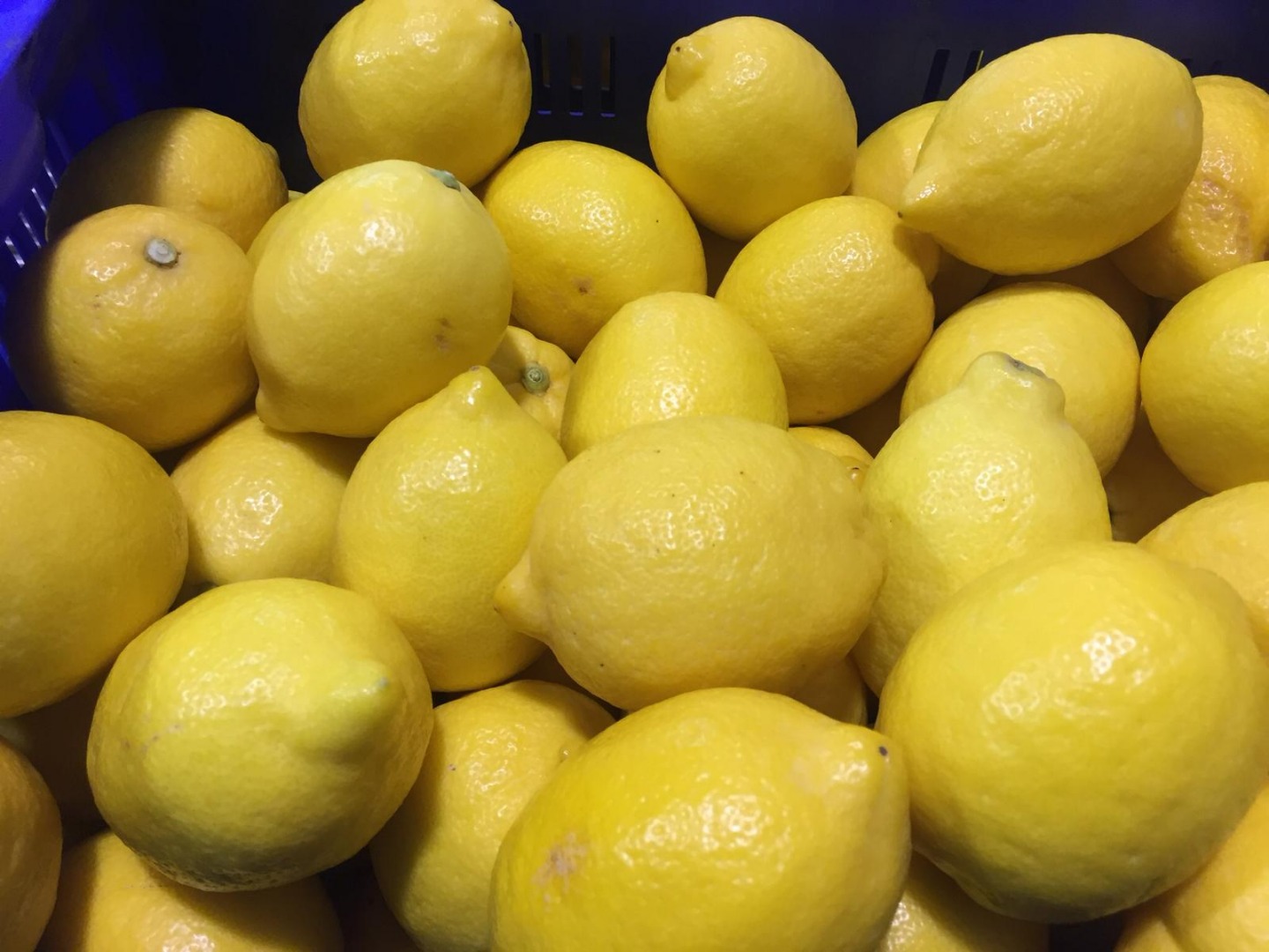 Sprzedam cytrynę, import z Hiszpanii, primafiori, ładna, świeża, I klasa