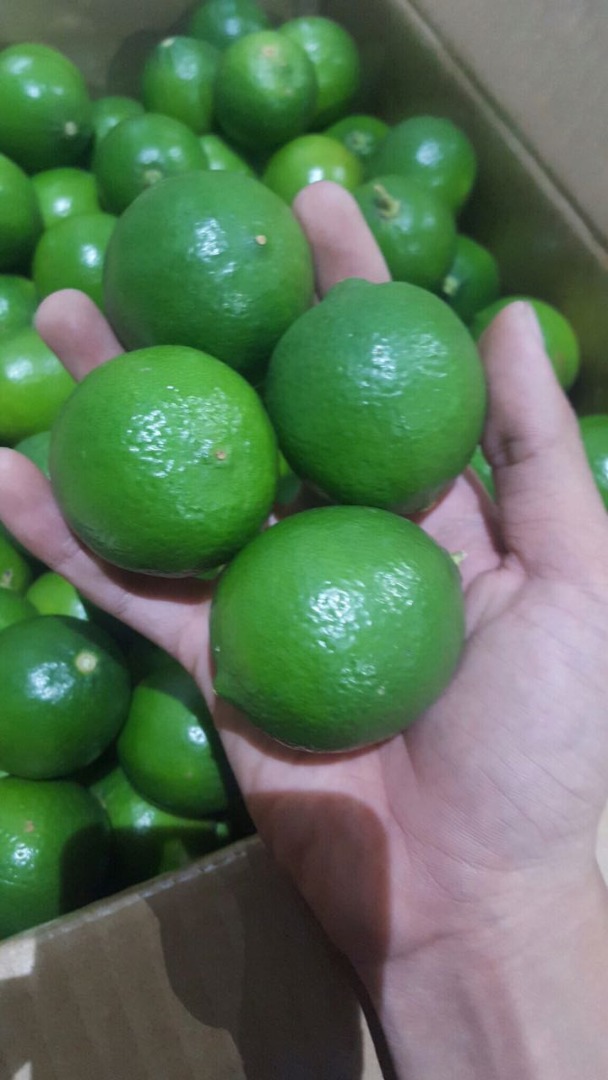 Limonki Kraj pochodzenia Wietnam 1500$ cif Koper
