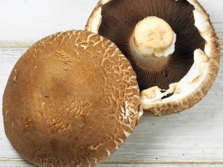 Kupie pieczarke do suszenia - kupie - liść i
