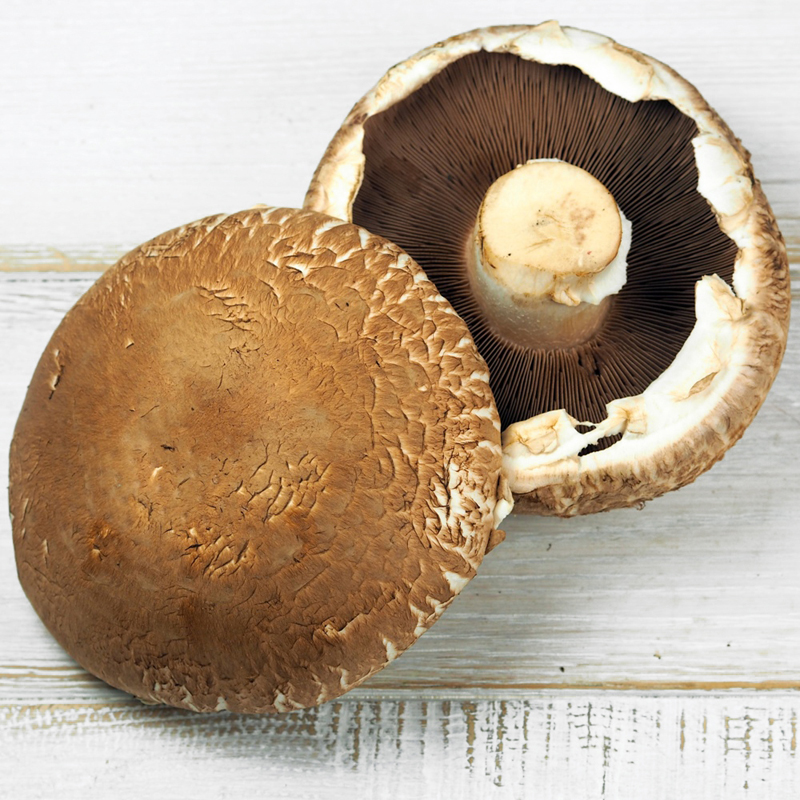 Kupie pieczarke do suszenia - kupie - liść i korzeń boczniaka