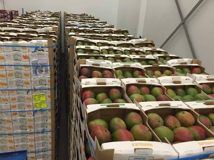 Mango 5.90 euro za karton ( 4 kg)