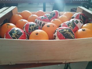 Pomarancza Navel Lane Late z Maroka. Mozliwosc wysylki do