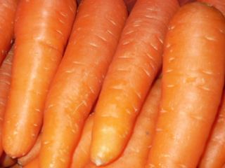 Fresh Carrot na sprzedaż. rozmiar: S, M, L, 2L,