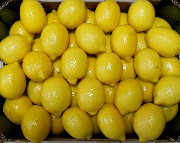 Fresh Lemon na sprzedaż skontaktuj się z nami poprzez e-mail lub whatsApp, aby uzyskać więcej informacji