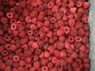 Kupię polską wiśnie b/p 1 klas