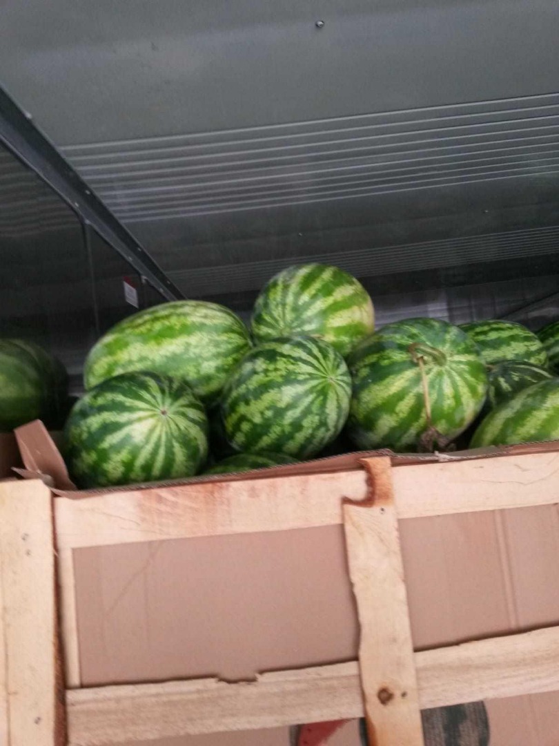 i will sell fresh water melon please contact for more details call