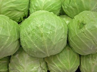 Kapusta 1kg-2kg