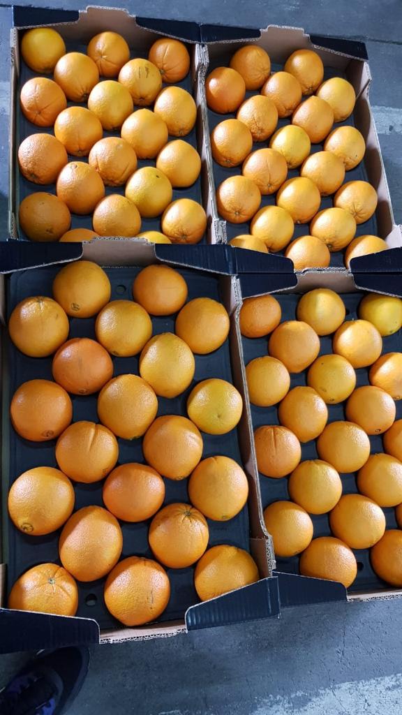 SPRZEDAM POMARAŃCZE SOKOWE ,ODMIANA - VALENCJA CENA Z DOSTAWĄ NA TERENIE POLSKI ! KALIBER : 7-8 - 3,44 zł/kg netto 5-6 - 3,60 zł/kg netto 3-4 - 4,20 zł/kg