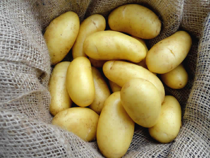 Cebula kalibru 5+, marchew, stare ziemniaki, czosnek najlepsza cena obejmuje dostawę