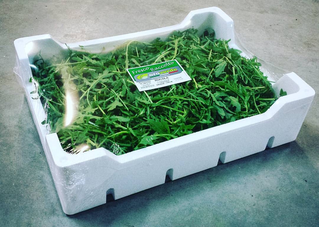 Rucola! Skontaktuj się z nami, aby uzyskać więcej informacji! Jesteśmy Floriano Mirra, na południu Włoch
