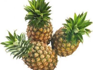 Fresh pineapples for sale All varieties please contact us