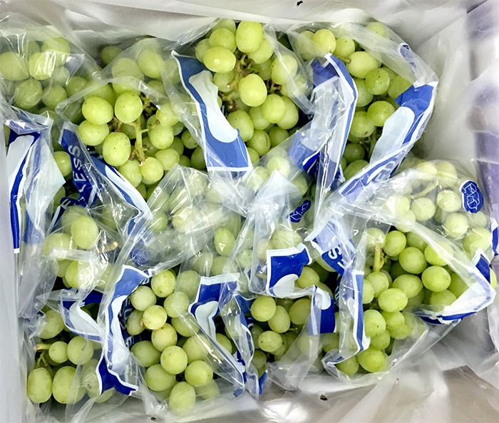 Świeże winogrona bez pestek na sprzedaż