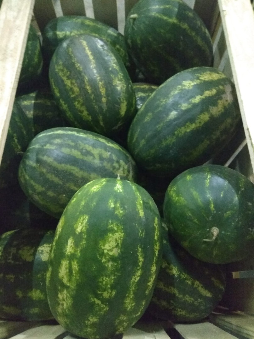 Sprzedam arbuza Świeża dostawa - 10.05 Słodki i soczysty BRIX (słodkość) minimum 14+ Kaliber: 4-12kg Sprzedajemy od 1 sztuki do ilości paletowych