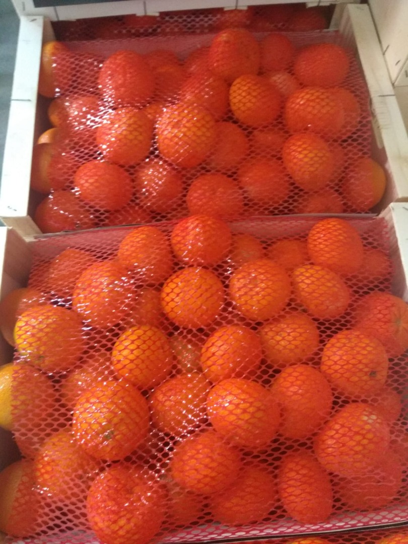 Sprzedam mandarynkę Ortanique pakowanie 10kg drewno Około 10 ton, minimalna ilość pół palety