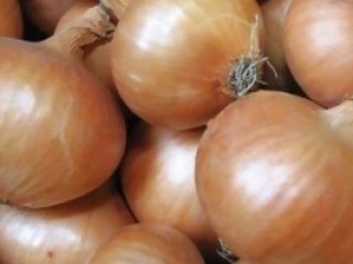 świeża cebula: 1. Pochodzenie: Niemcy 2. opakowanie: 10 kg