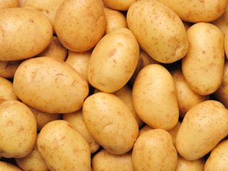 świeża cebula: 1. Pochodzenie: Niemcy 2. opakowanie: 10 kg