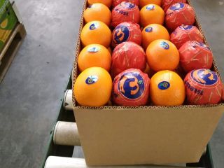 Packaging Details Packaging Standard Packing: Telescopic (Cartons or Open