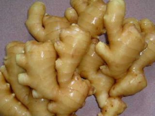 Product Name Fresh Ginger Crop New crop color yellow