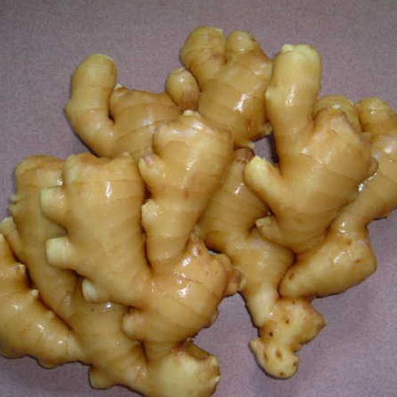 Product Name Fresh Ginger Crop New crop color yellow flavor spicy grade top quality, grade AAA Cultivation Type Organic Skin Smooth and clean Sizes 100g up