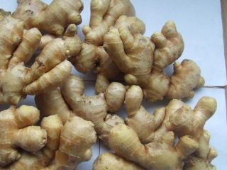 Product Name Fresh Ginger Crop New crop color yellow