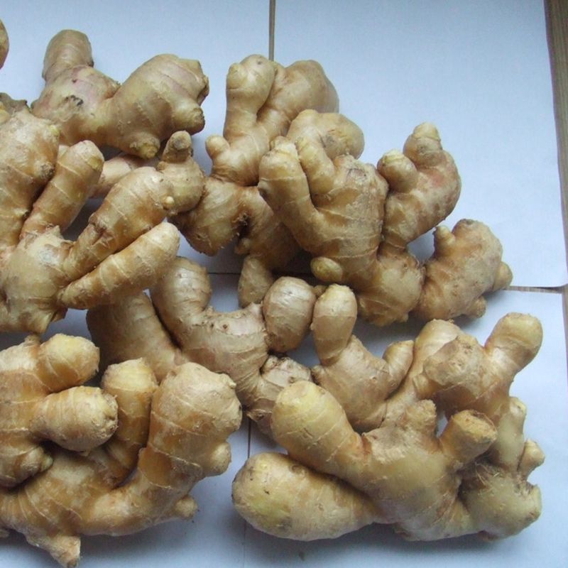 Product Name Fresh Ginger Crop New crop color yellow flavor spicy grade top quality, grade AAA Cultivation Type Organic Skin Smooth and clean Sizes 100g up