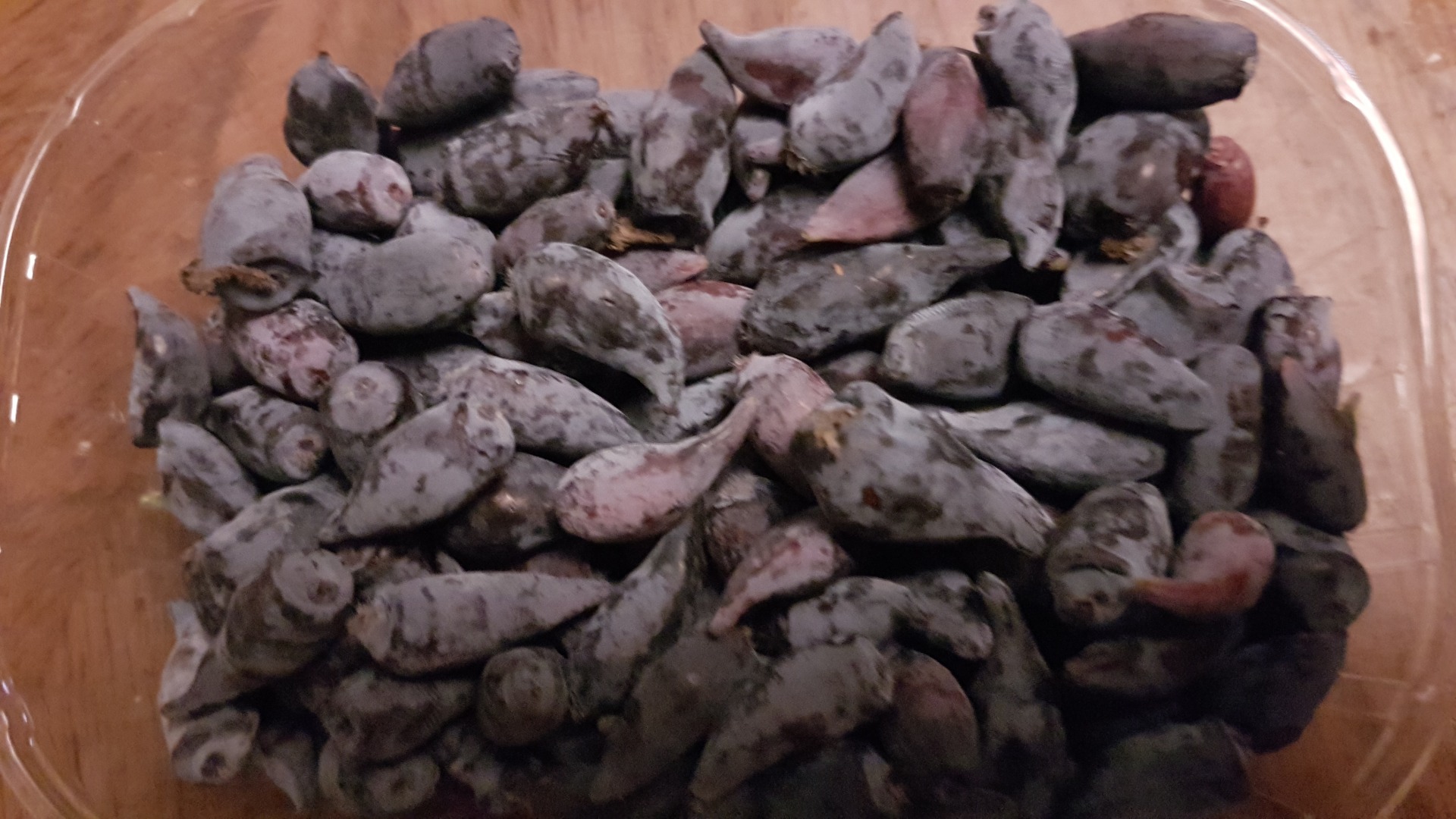 Sprzedam owoce jagody kamczackiej