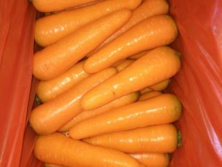 Fresh carrot Sizes S:80-150g M:150-200g L:200-250g XL:250-300g 3L:300g &