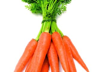 Fresh carrot Sizes S:80-150g M:150-200g L:200-250g XL:250-300g 3L:300g &