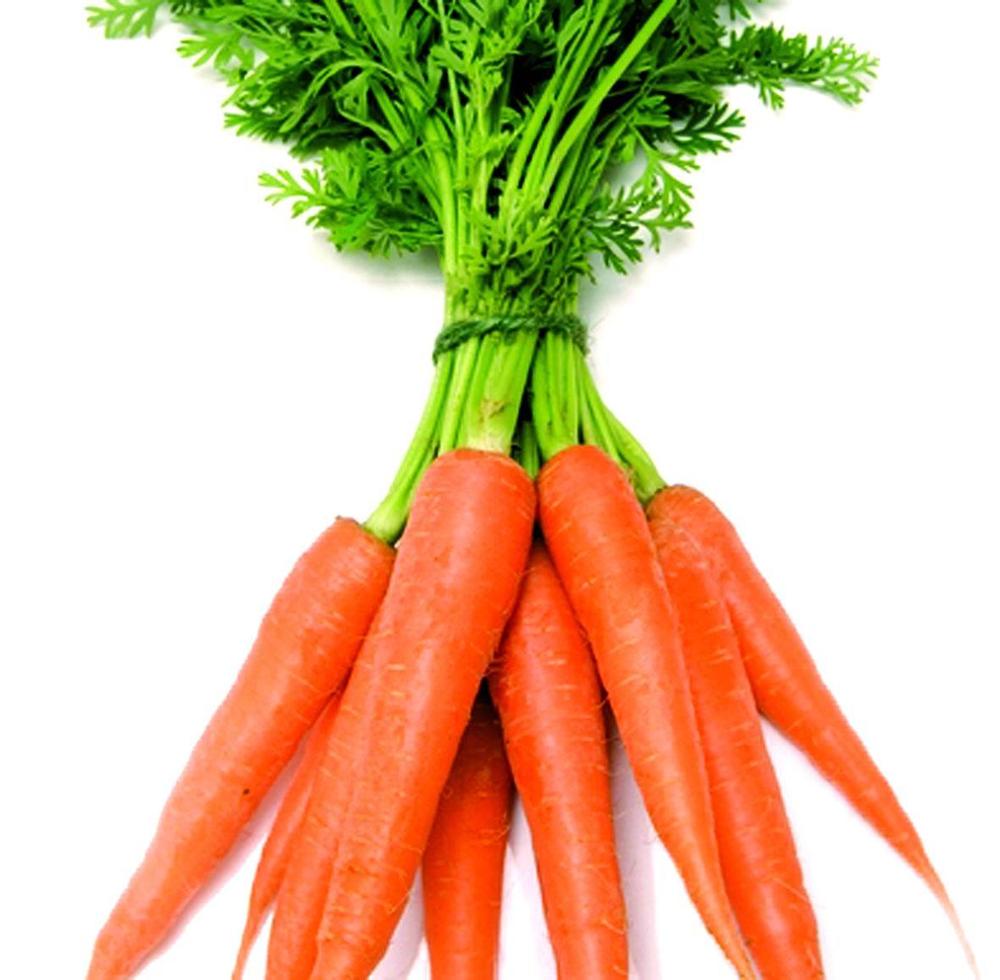 Fresh carrot Sizes S:80-150g M:150-200g L:200-250g XL:250-300g 3L:300g & up Product origin :Shandong province,china Features : 1)Washed and polished 2)intact