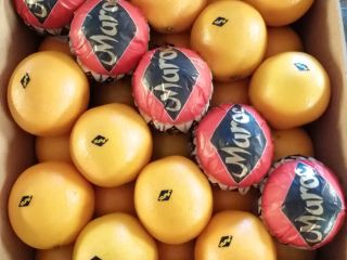 Marokańska Valencia Late Oranges _ SPRZEDAŻ oferuje wszystkie rodzaje