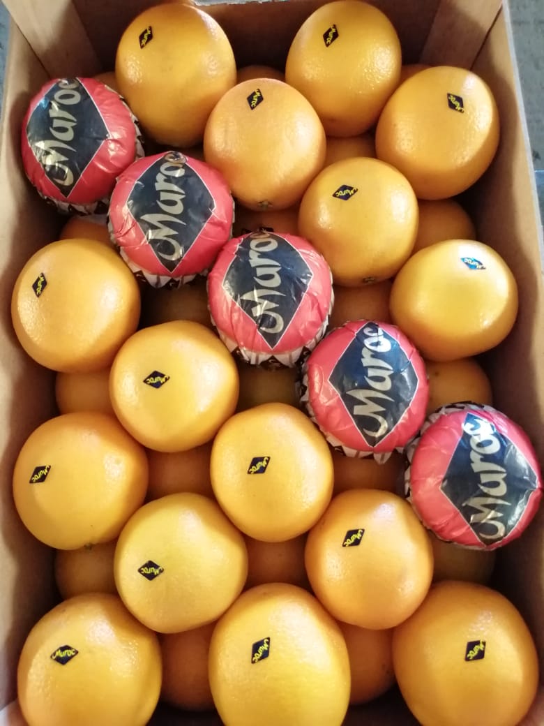 Marokańska Valencia Late Oranges _ SPRZEDAŻ oferuje wszystkie rodzaje opakowań wszystkich rozmiarów