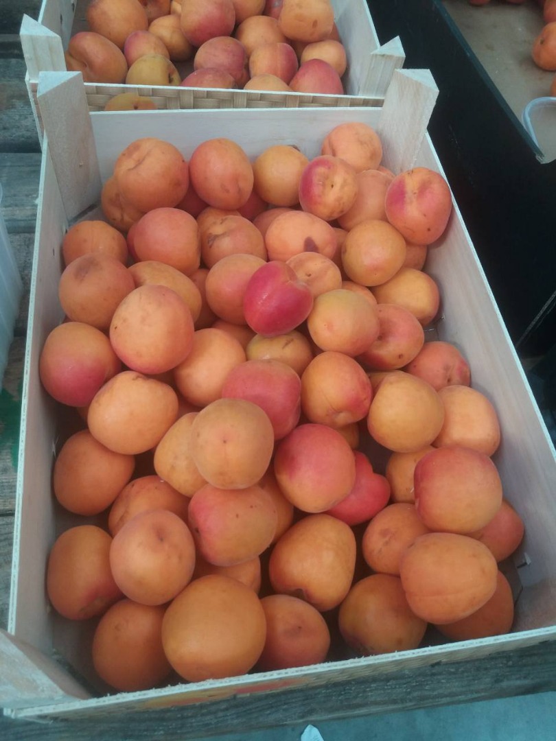 Sprzedam morele, import z Hiszpanii, świeża, ładna