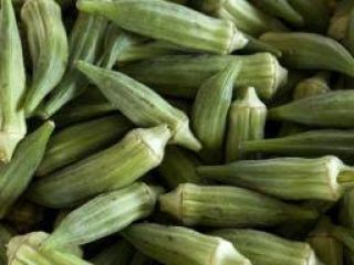 wszystkie odmiany okra dostępne Baby Bubba Hybrid Blondy Burgund