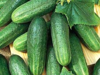 Zbiory melona 2019 z Uzbekistan Oferujemy świeże melony i