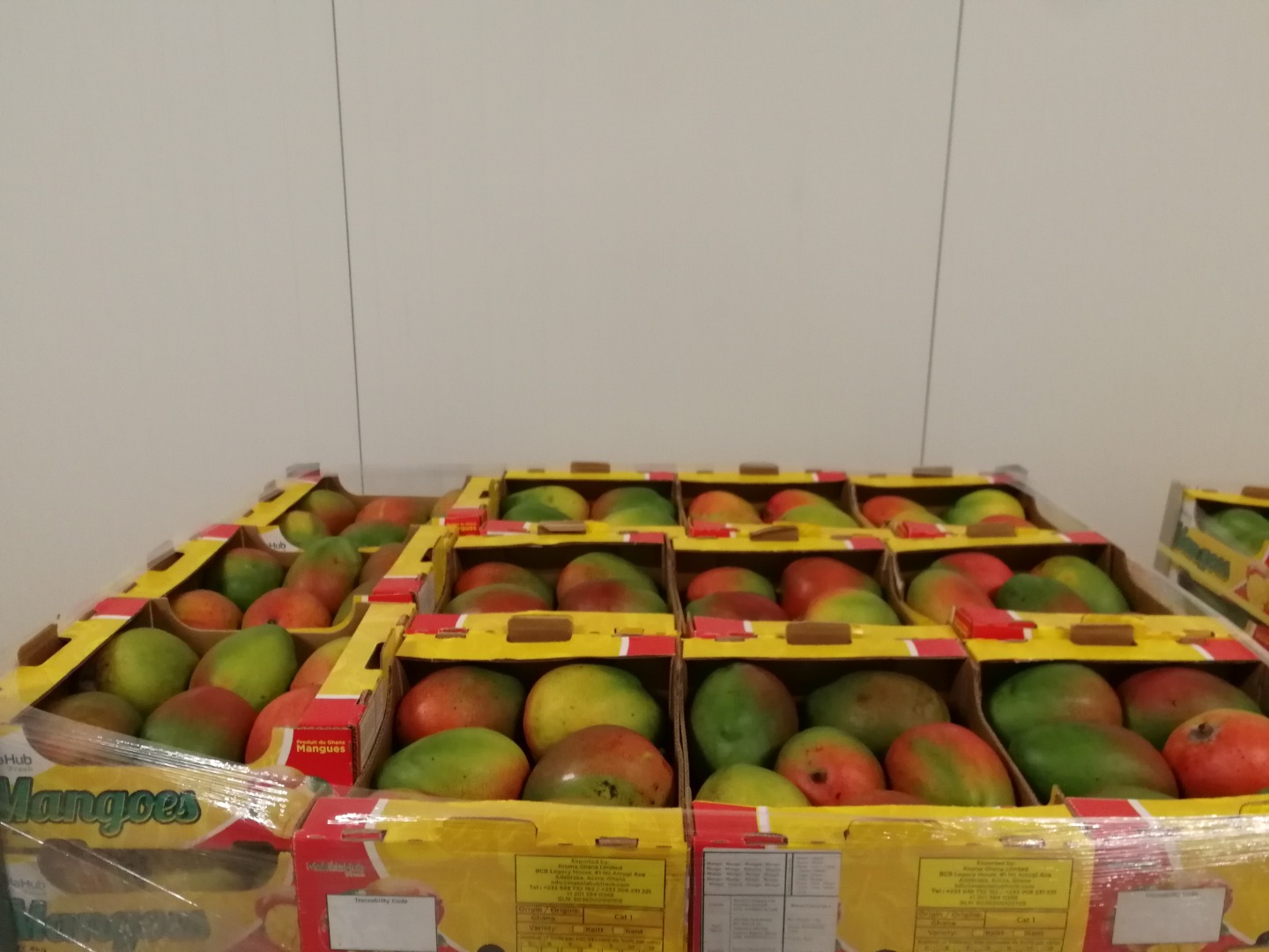 Sprzedam Mango ilości hurtowe
